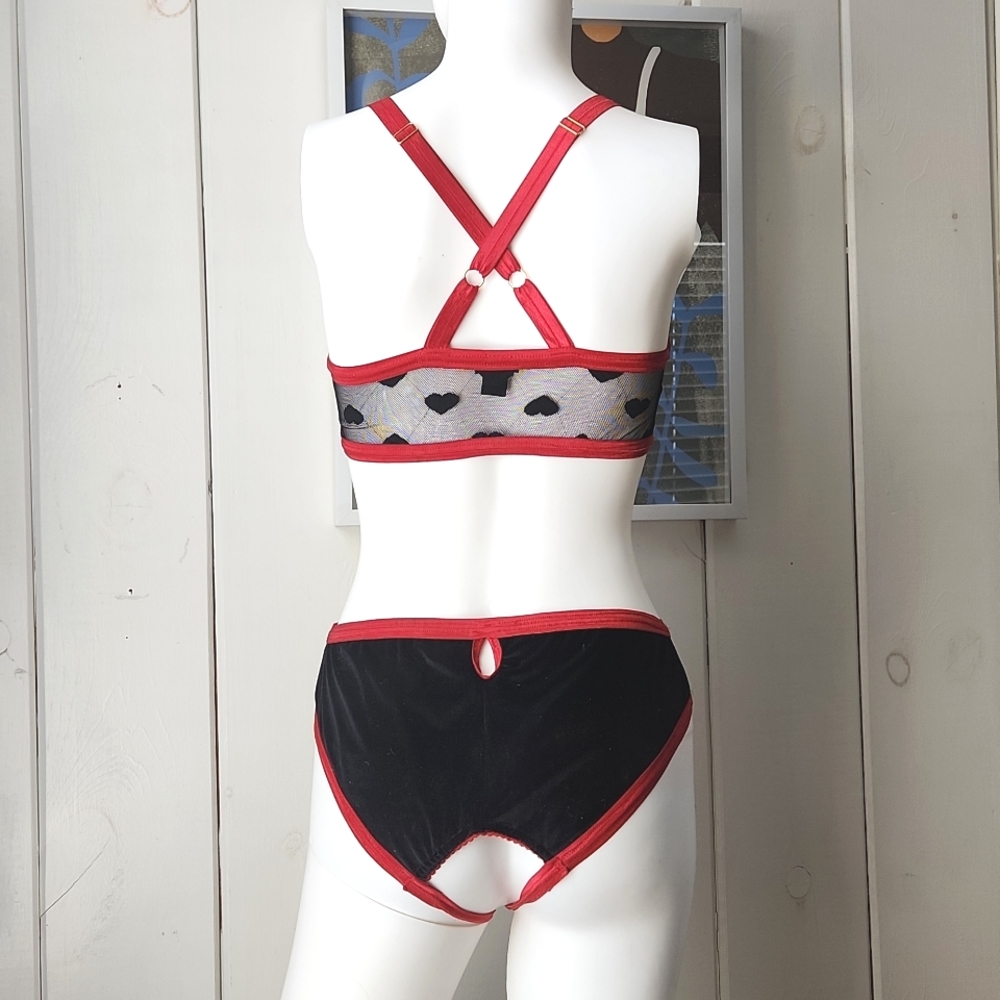 Solstice Intimates Black Velvet/Mesh Harness  bra and Crotchless Panties XL/L